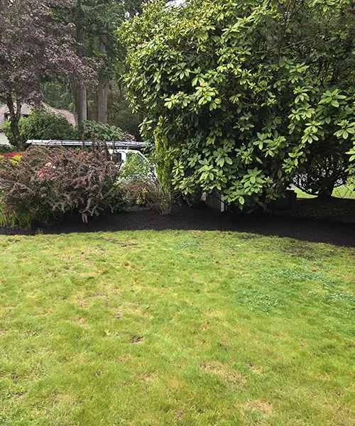 Landscape Maintenance in Bellevue 